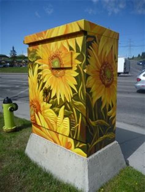 graffiti on electrical boxes|flower boxes graffiti.